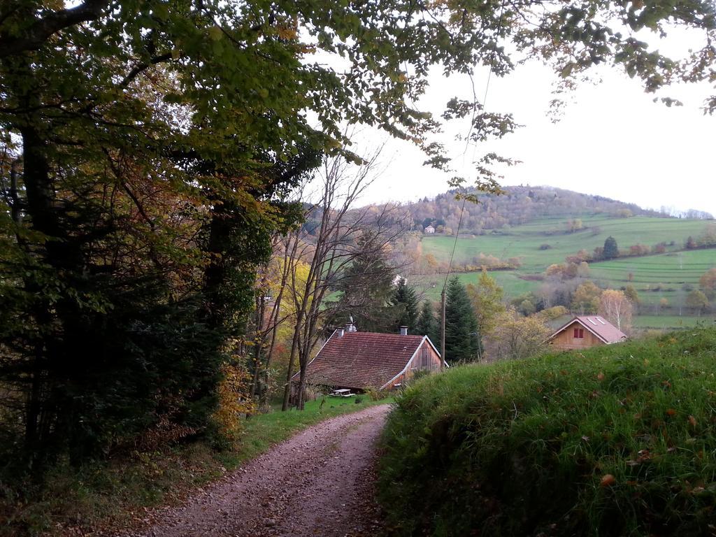 Giteovosges La Croix-aux-Mines Экстерьер фото